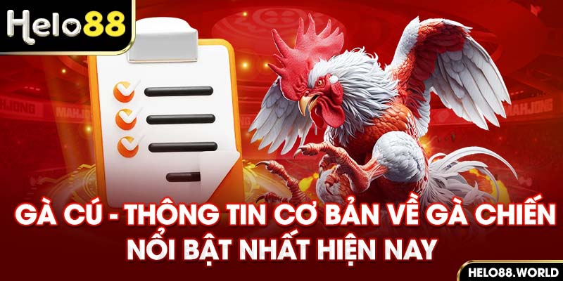 Gà Cú – Thông Tin Cơ Bản Về Gà Chiến Nổi Bật Nhất Hiện Nay