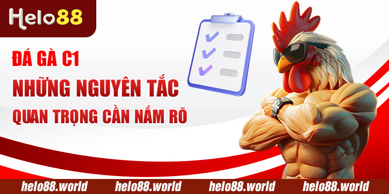 Đá Gà C1 – Những Nguyên Tắc Quan Trọng Cần Nắm Rõ