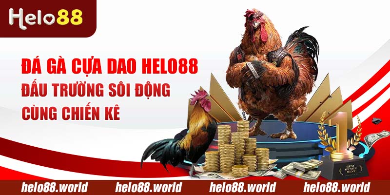 Đá Gà Cựa Dao Helo88 – Đấu Trường Sôi Động Cùng Chiến Kê