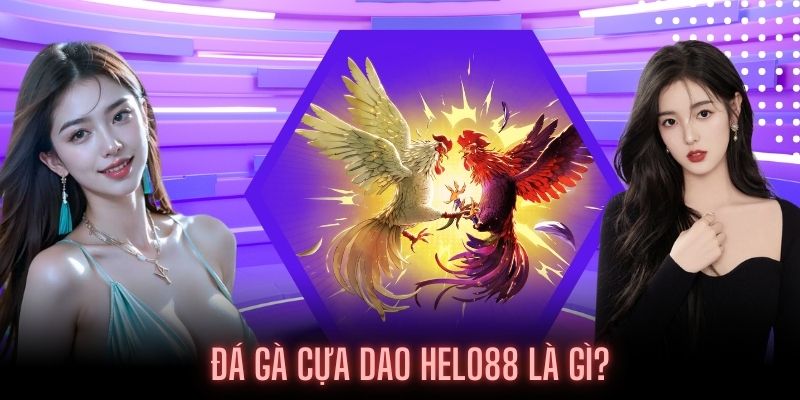 Giới thiệu về Đá gà cựa dao Helo88