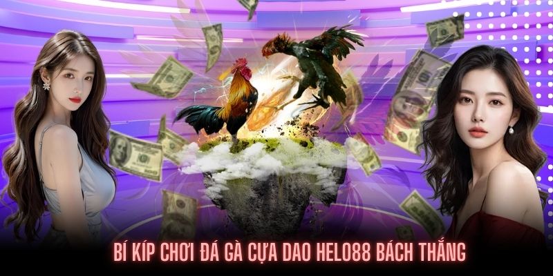 Mẹo chơi Đá gà cựa dao Helo88 bách thắng từ sư kê lâu năm